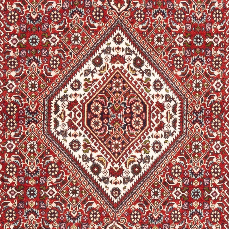 Tappeto Persero - Bidjar - 174 x 107 cm - rosso