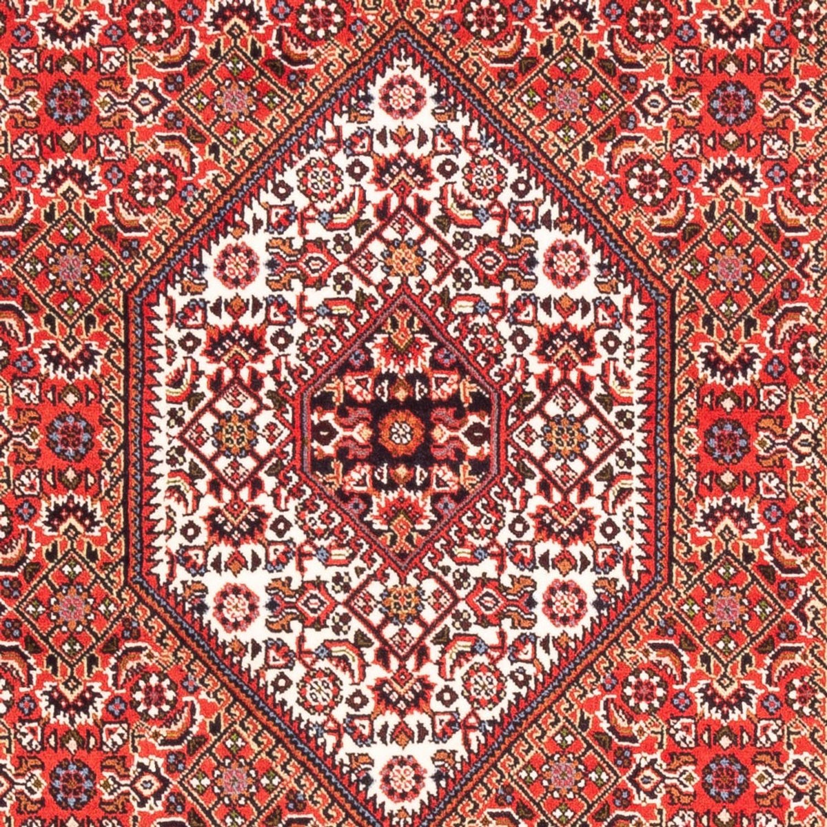 Tappeto Persero - Bidjar - 183 x 110 cm - rosso