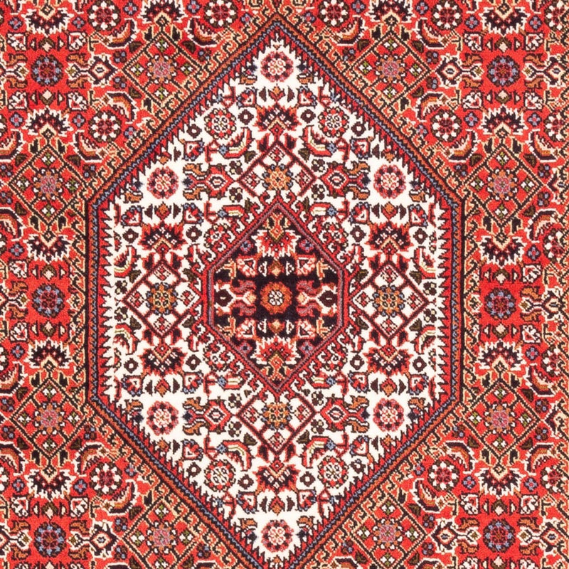 Tappeto Persero - Bidjar - 183 x 110 cm - rosso