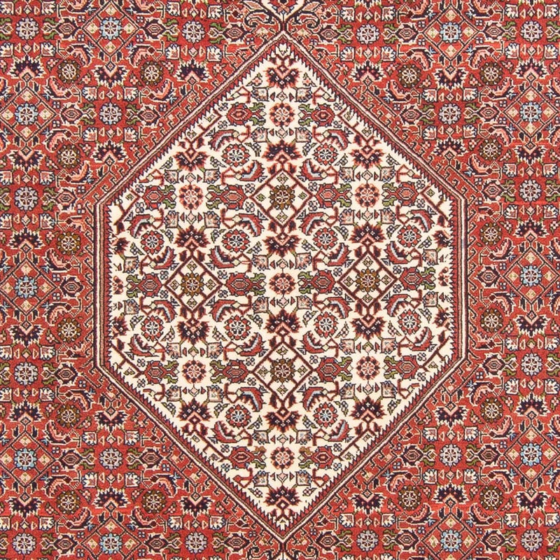 Tappeto Persero - Bidjar - 291 x 194 cm - rosso