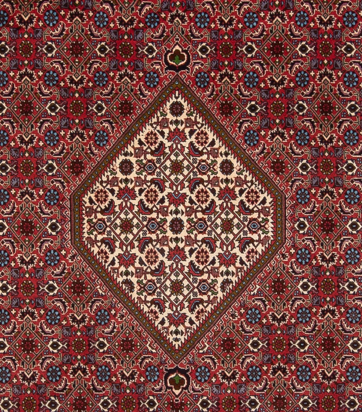 Tappeto Persero - Bidjar - 342 x 252 cm - rosso scuro