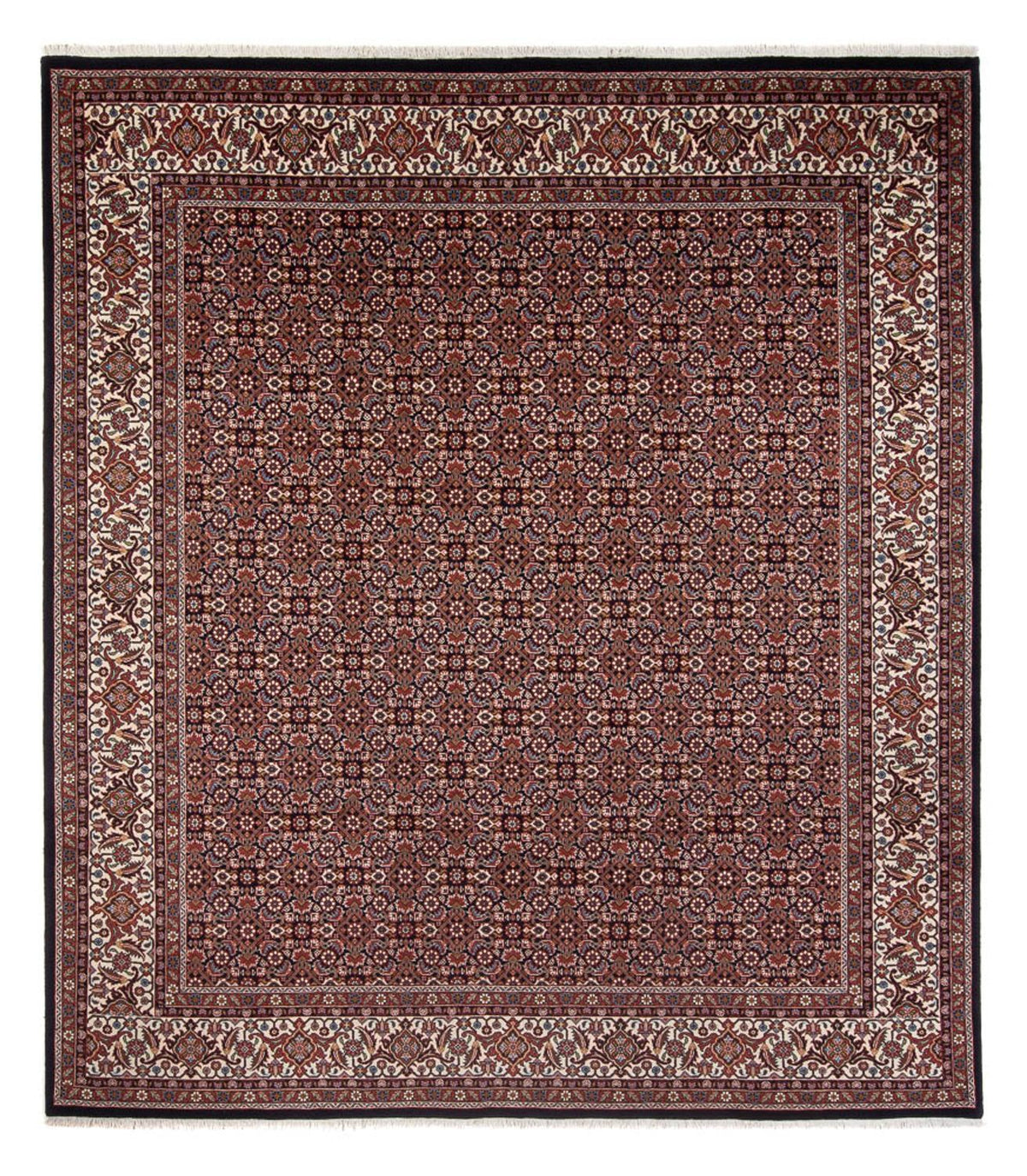 Tappeto Persero - Bidjar - 300 x 248 cm - blu scuro