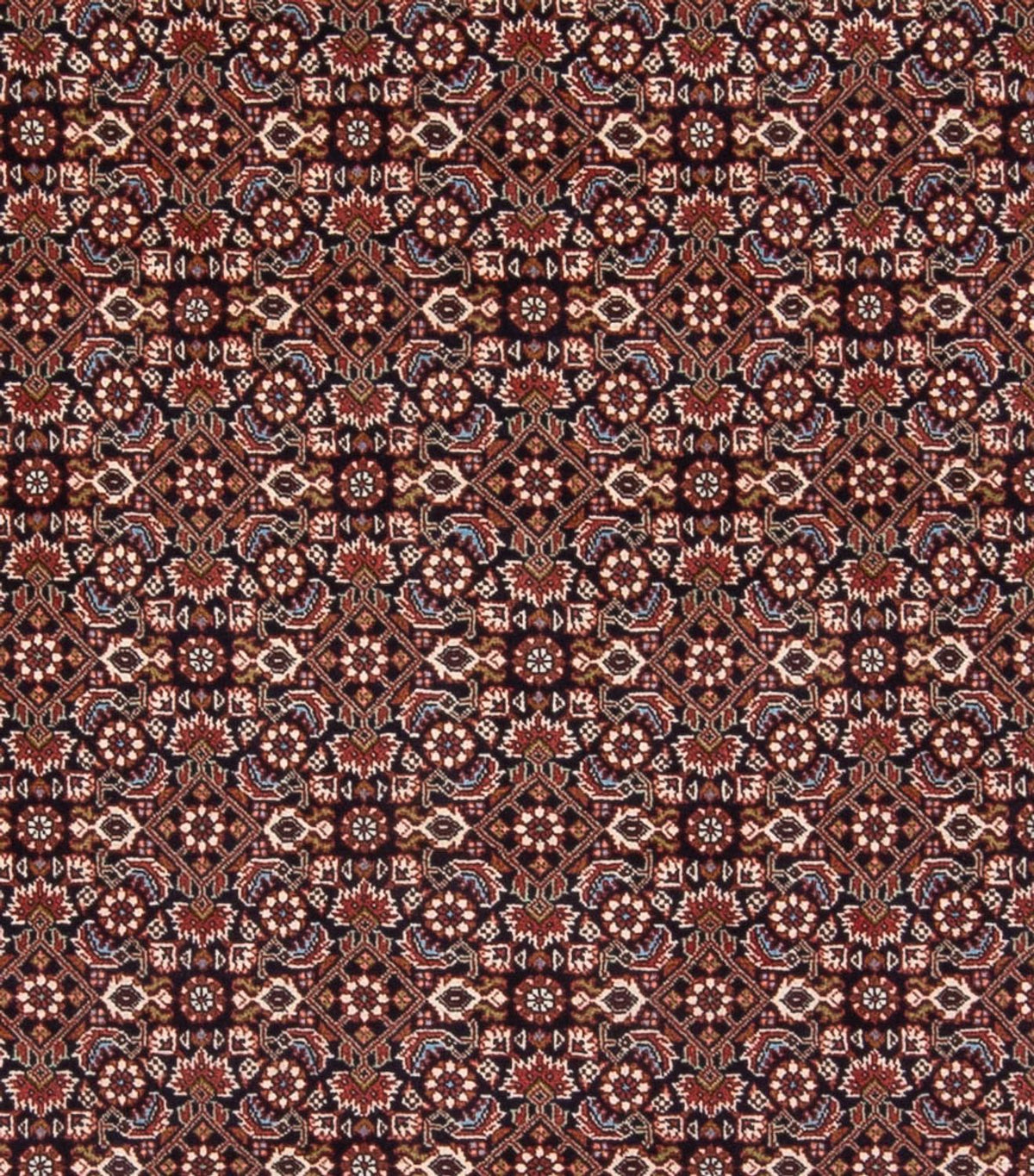 Tappeto Persero - Bidjar - 300 x 248 cm - blu scuro