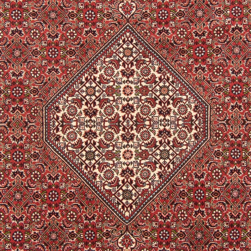 Tappeto Persero - Bidjar - 290 x 202 cm - rosso