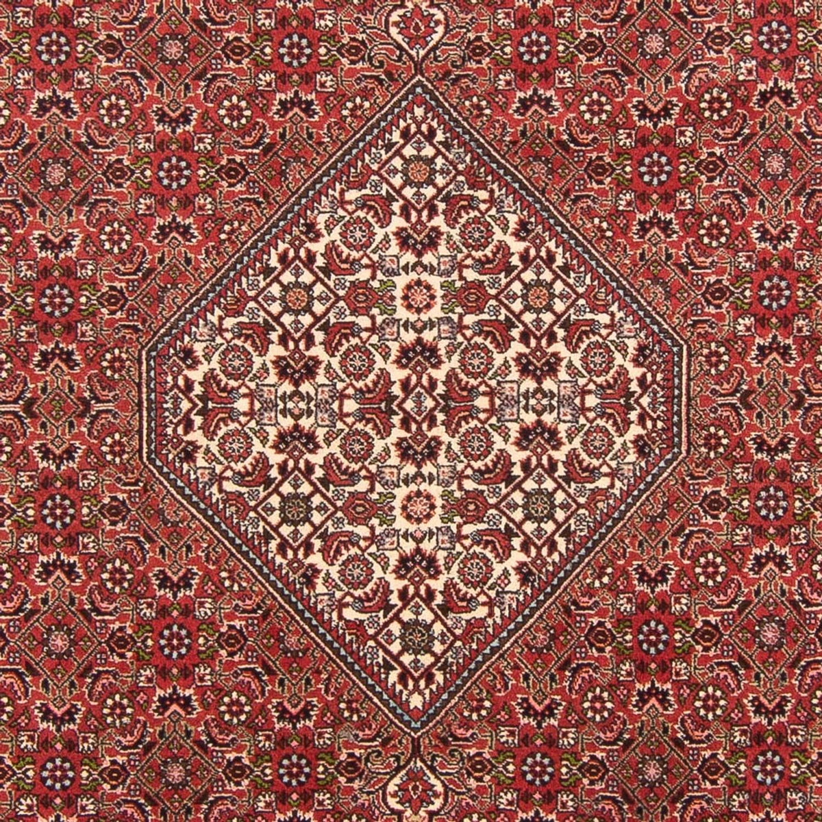 Tappeto Persero - Bidjar - 290 x 202 cm - rosso
