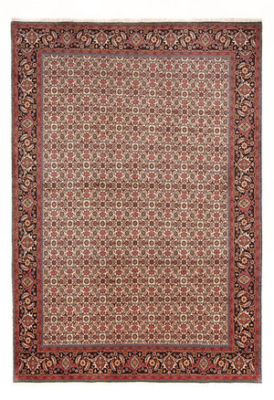 Tappeto Persero - Bidjar - 290 x 200 cm - crema