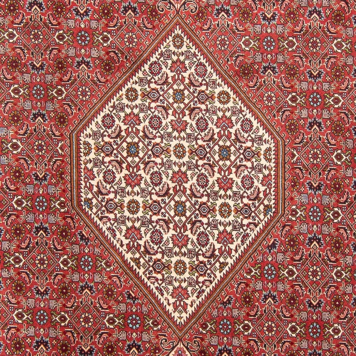 Tappeto Persero - Bidjar - 310 x 203 cm - rosso