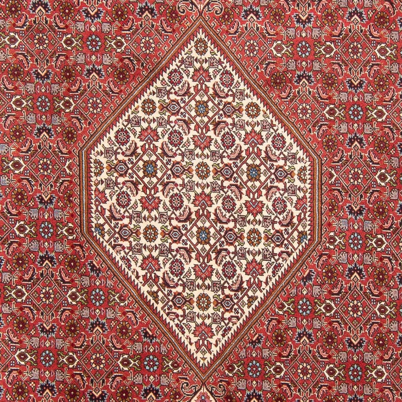 Tappeto Persero - Bidjar - 310 x 203 cm - rosso