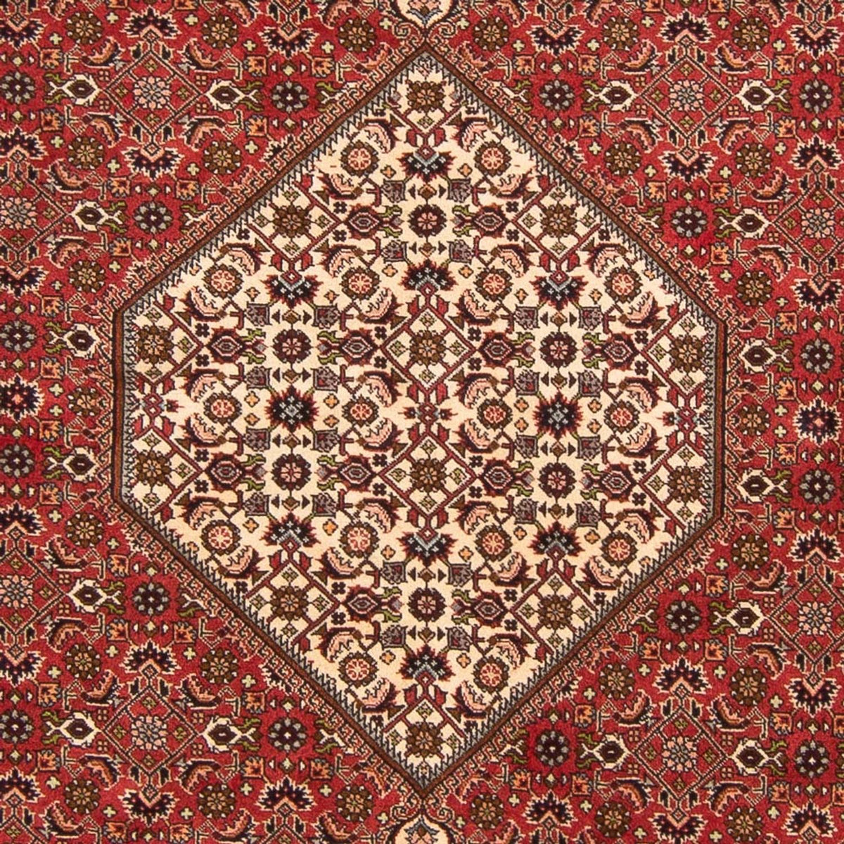 Tappeto Persero - Bidjar - 260 x 200 cm - rosso