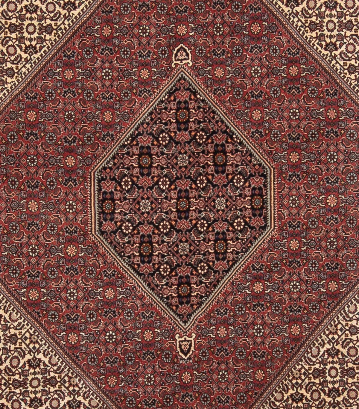 Tappeto Persero - Bidjar - 345 x 250 cm - rosso scuro