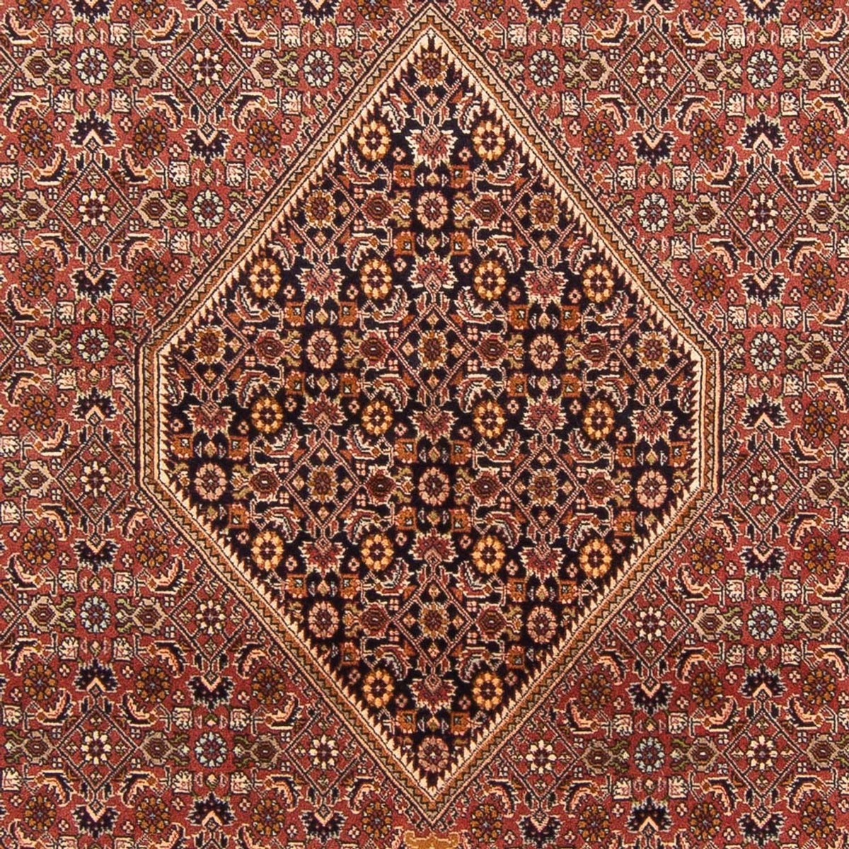 Tappeto Persero - Bidjar - 300 x 197 cm - rosso