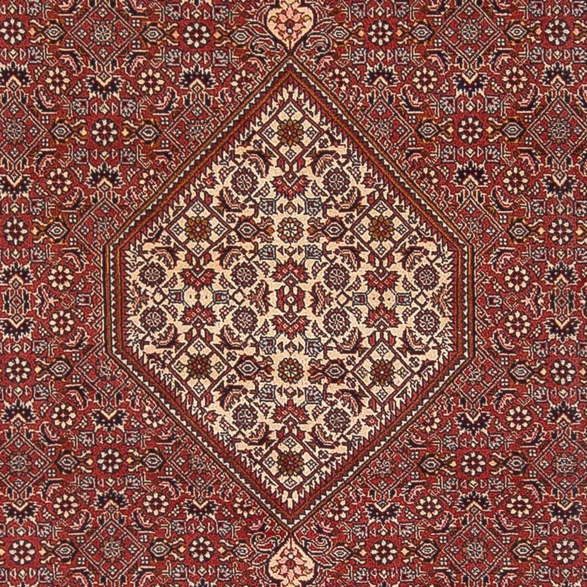 Tappeto Persero - Bidjar - 291 x 197 cm - rosso