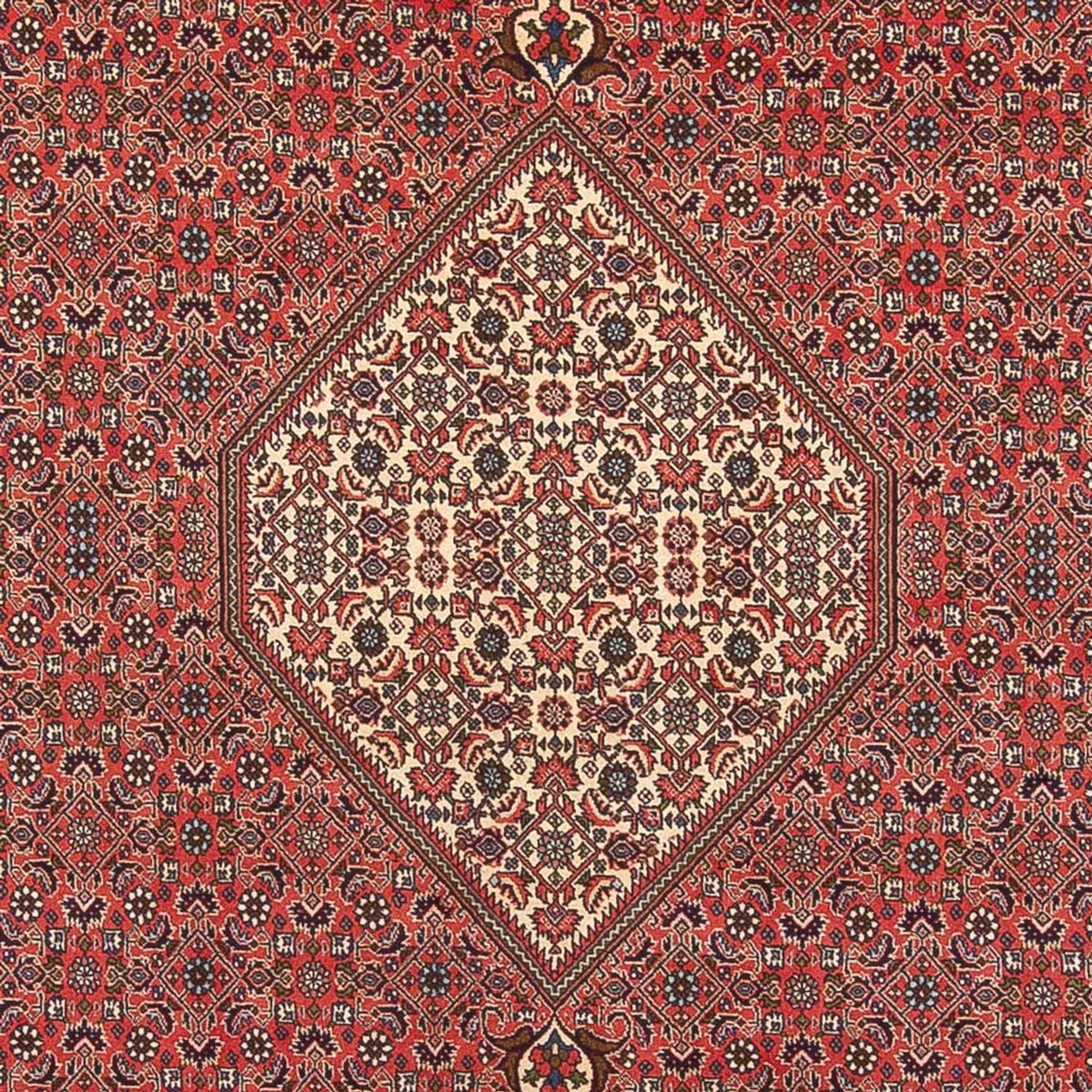 Tappeto Persero - Bidjar - 395 x 300 cm - rosso chiaro