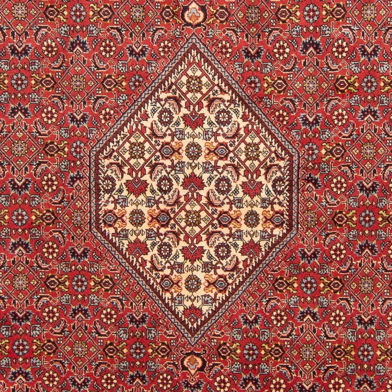 Tappeto Persero - Bidjar - 293 x 206 cm - rosso