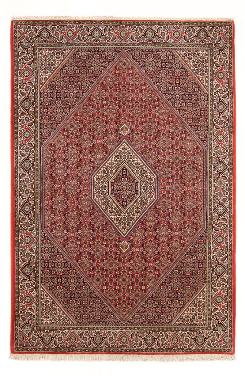 Tappeto Persero - Bidjar - 294 x 200 cm - rosso