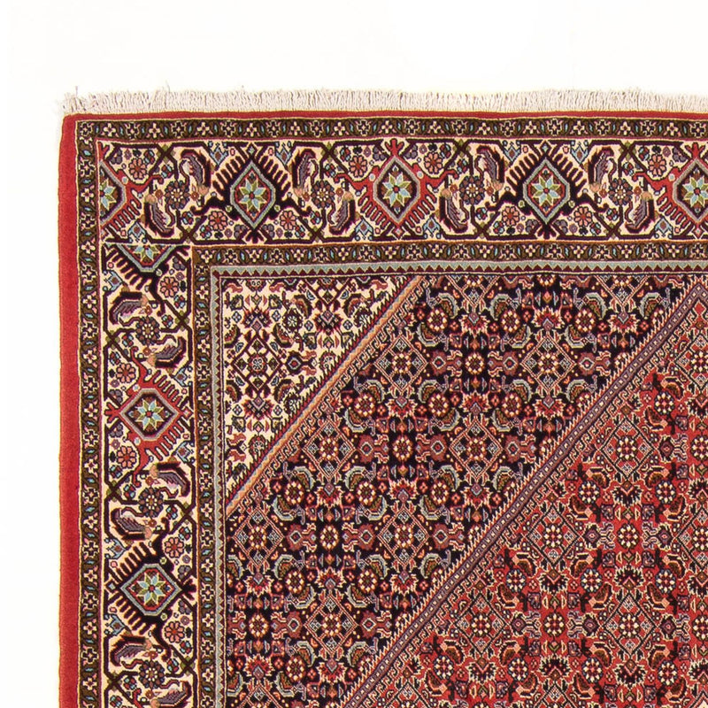 Tappeto Persero - Bidjar - 294 x 200 cm - rosso