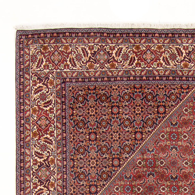 Tappeto Persero - Bidjar - 303 x 200 cm - rosso