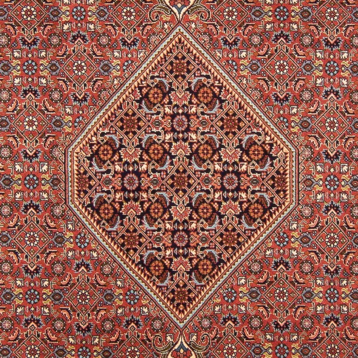 Tappeto Persero - Bidjar - 296 x 197 cm - rosso