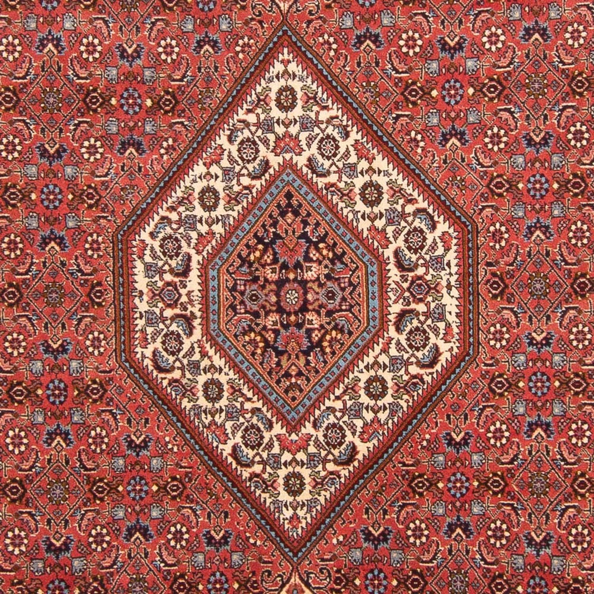Tappeto Persero - Bidjar - 290 x 204 cm - rosso
