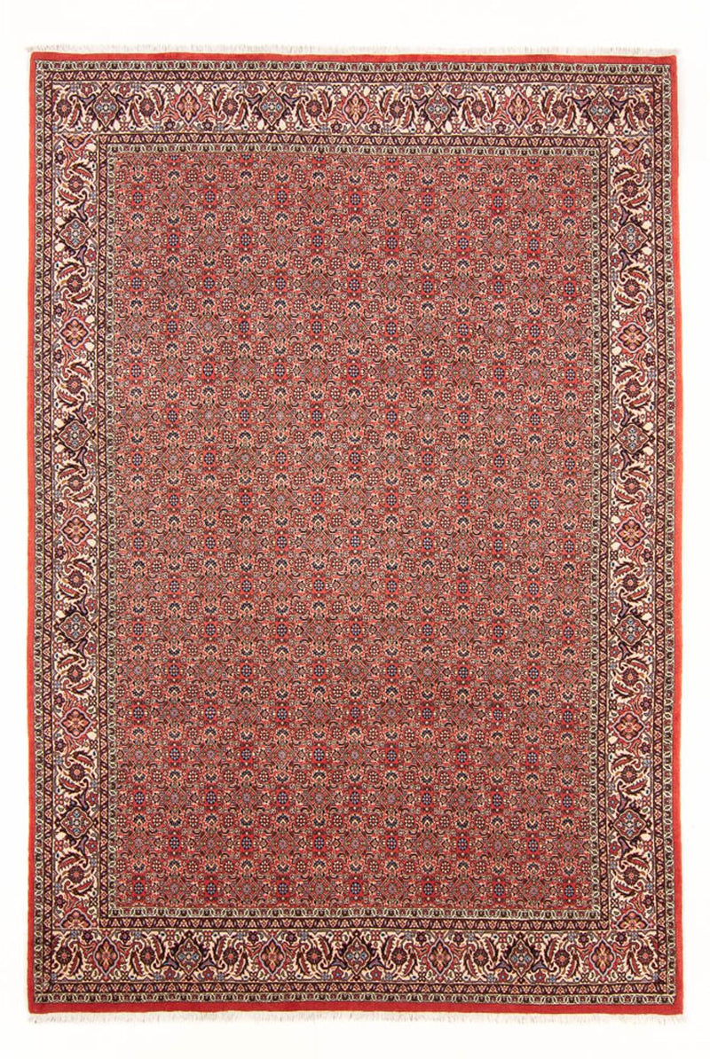 Tappeto Persero - Bidjar - 298 x 196 cm - rosso