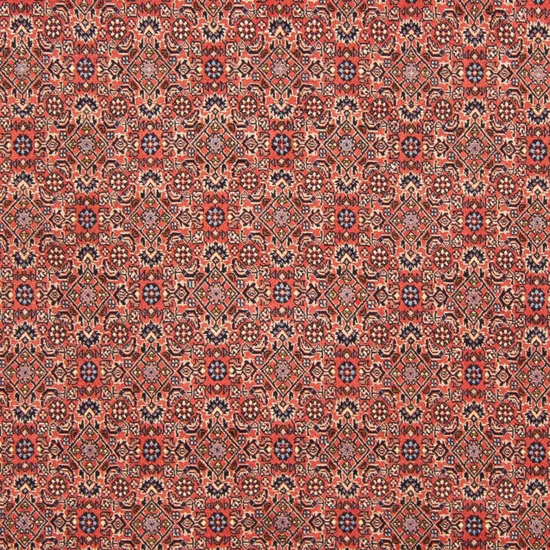Tappeto Persero - Bidjar - 298 x 196 cm - rosso