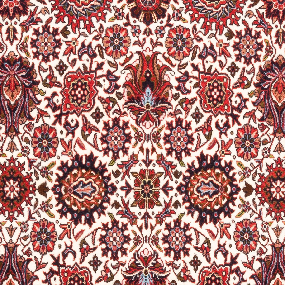 Tappeto Persero - Bidjar - 184 x 110 cm - crema