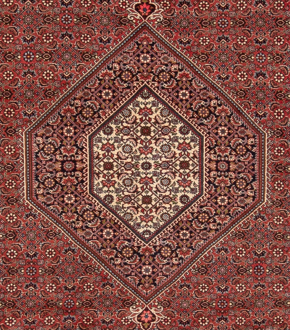 Tappeto Persero - Bidjar - 348 x 250 cm - rosso scuro