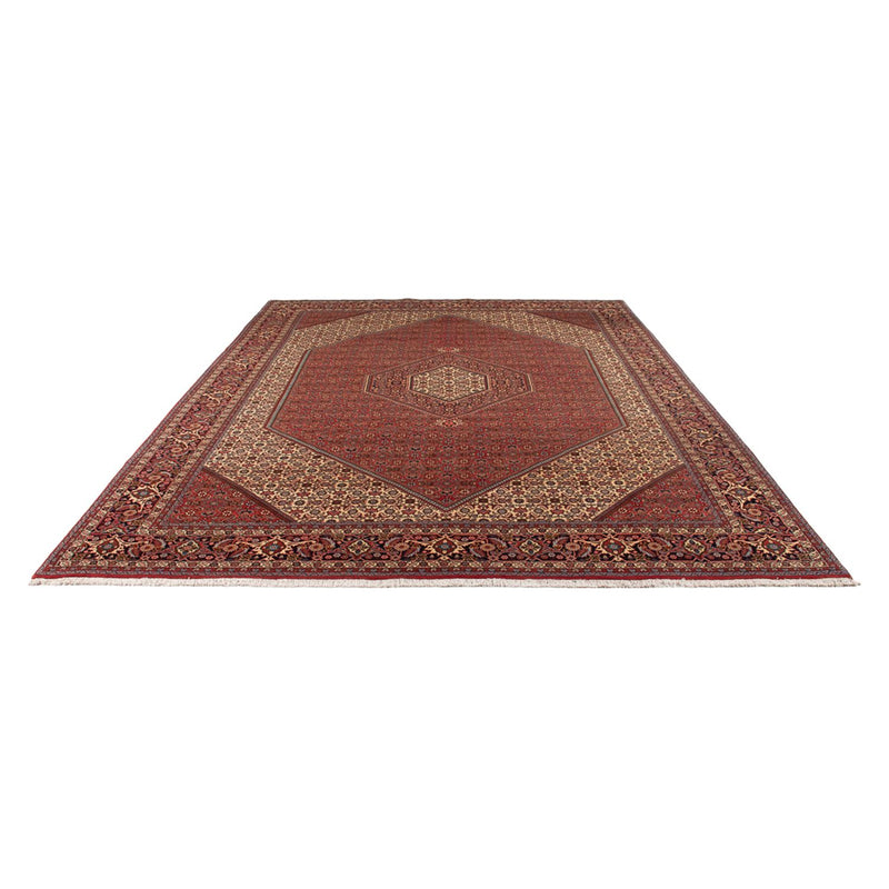 Tappeto Persero - Bidjar - 348 x 250 cm - rosso scuro