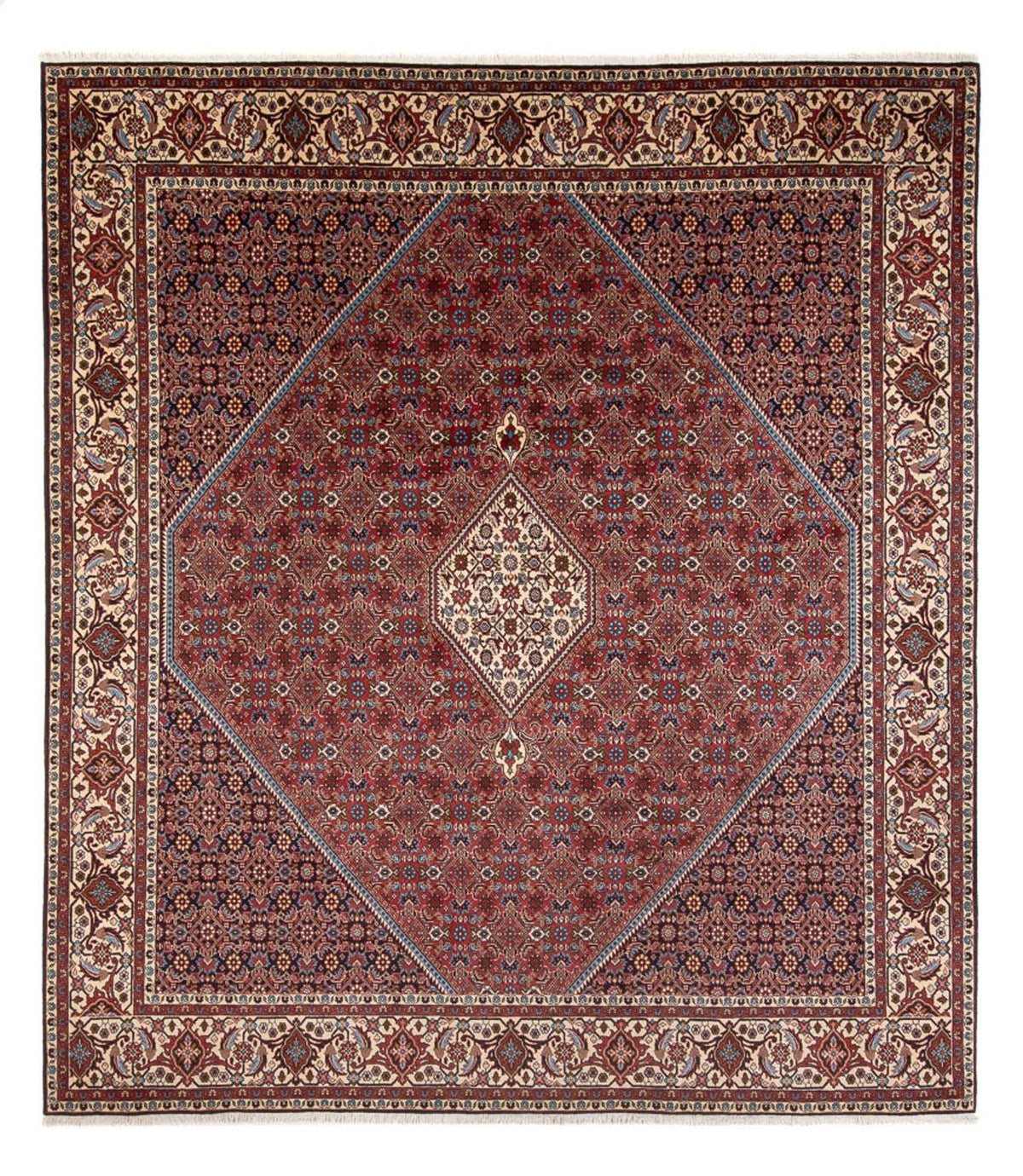 Tappeto Persero - Bidjar - 294 x 253 cm - rosso scuro