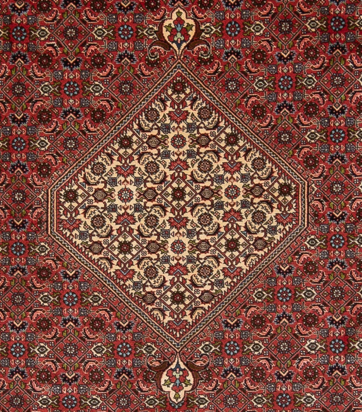 Tappeto Persero - Bidjar - 314 x 255 cm - rosso scuro