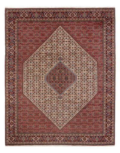 Bidjar - Bukan Tappeto 251x336cm - Tappeto persiano
