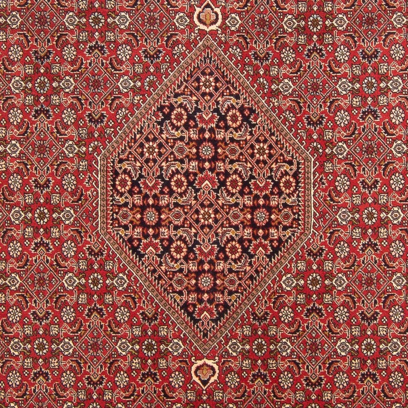 Tappeto Persero - Bidjar - 298 x 203 cm - rosso
