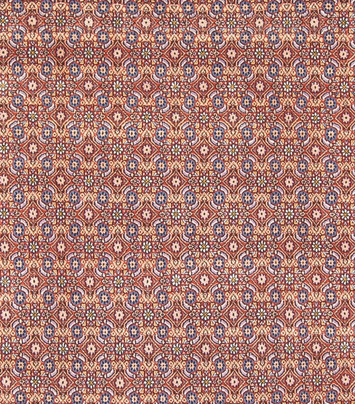 Tappeto Persero - Classico - 294 x 243 cm - blu scuro