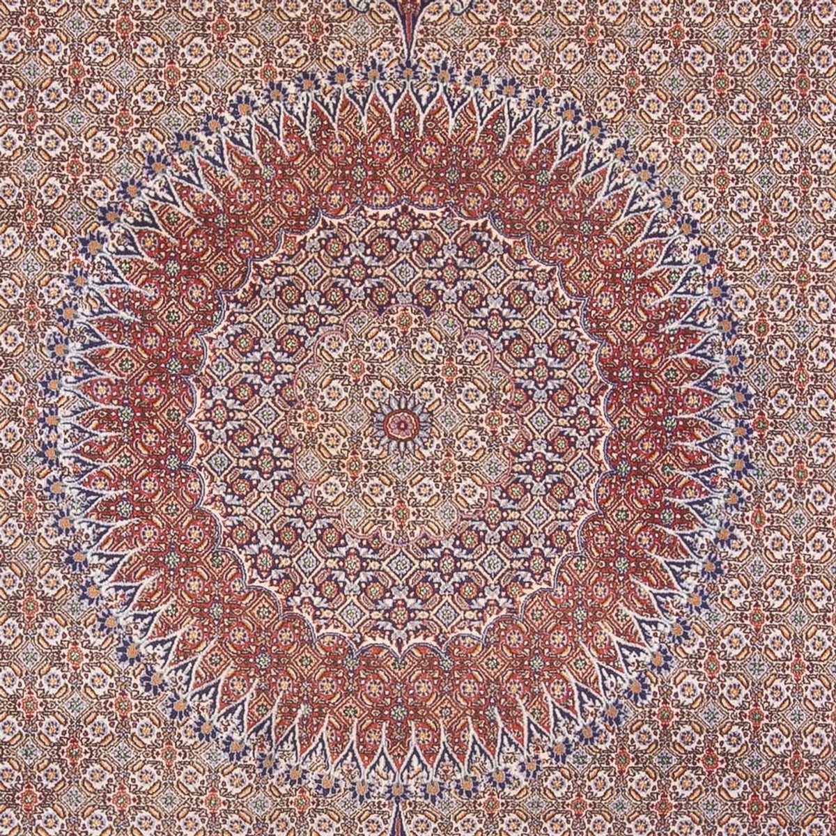Tappeto Persero - Classico - 388 x 293 cm - beige scuro