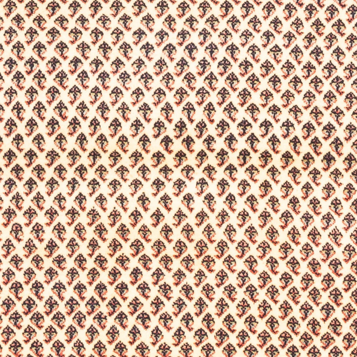 Tappeto Persero - Mir - 160 x 107 cm - crema