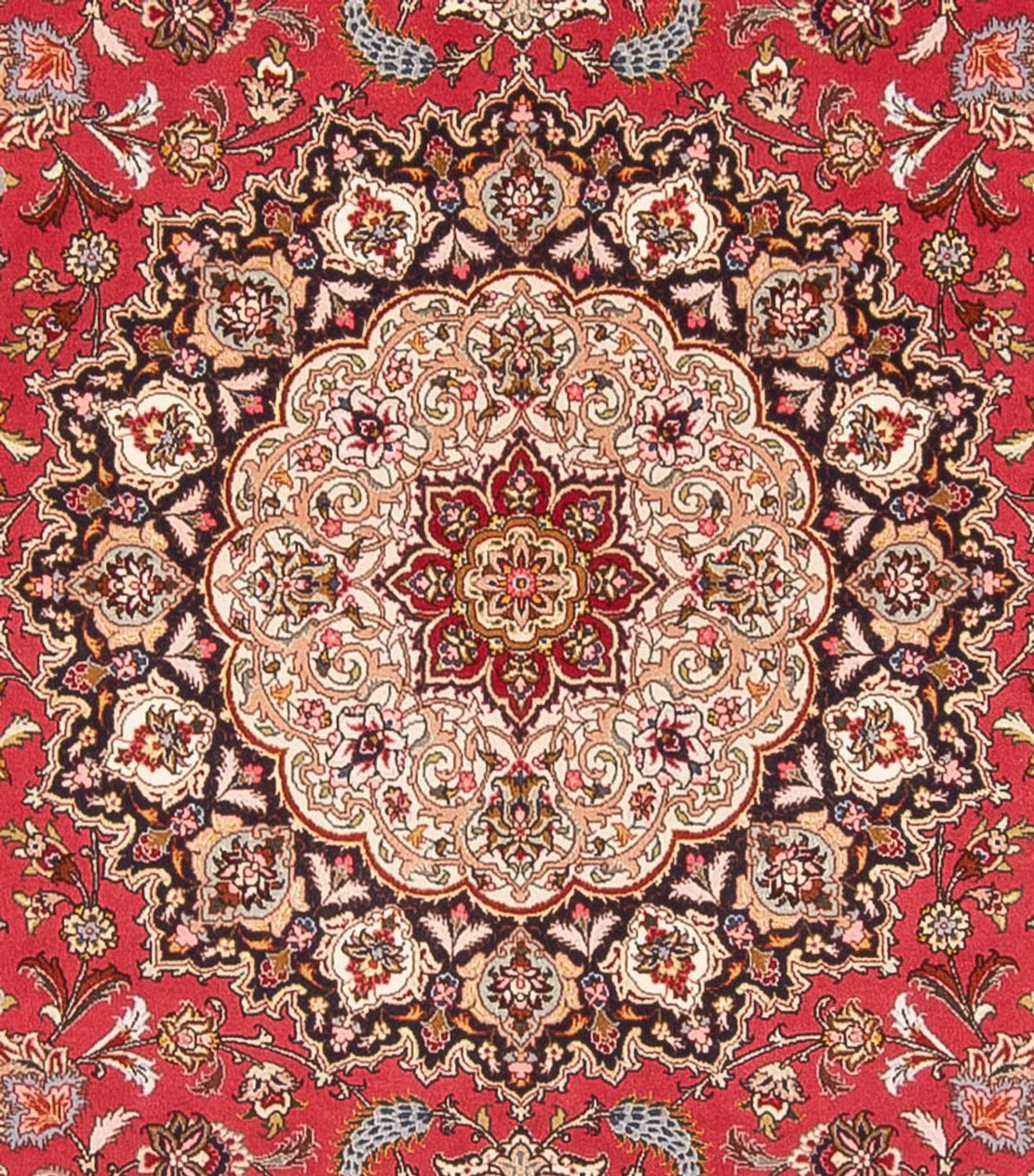Tappeto Persero - Tabriz - Reale quadrato - 252 x 252 cm - rosso