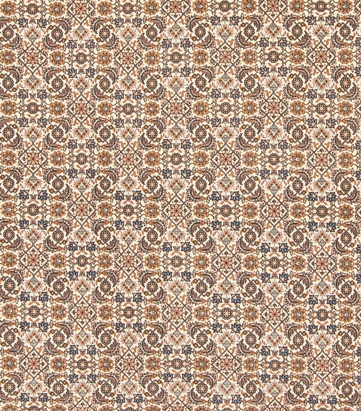 Tappeto Persero - Tabriz - Reale - 290 x 253 cm - beige scuro