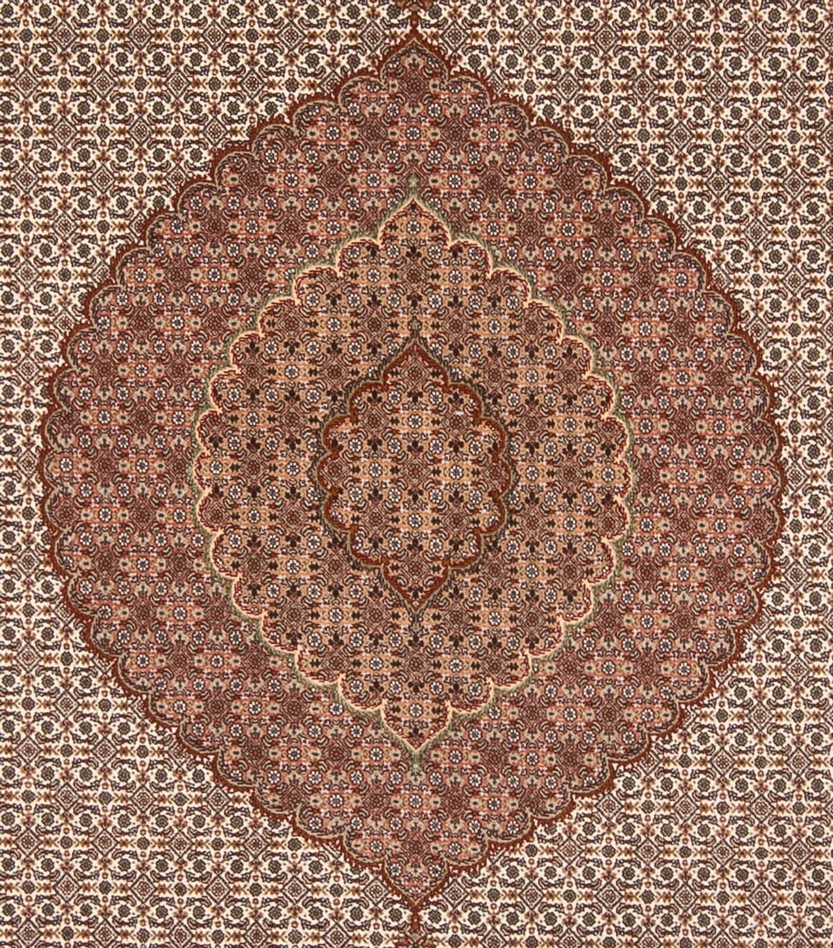 Tappeto Persero - Tabriz - 355 x 250 cm - marrone chiaro