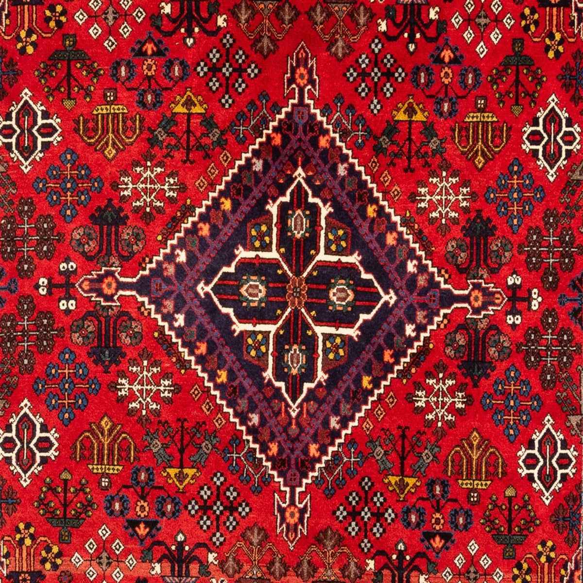 Tappeto Gabbeh - Persero - 320 x 216 cm - multicolore