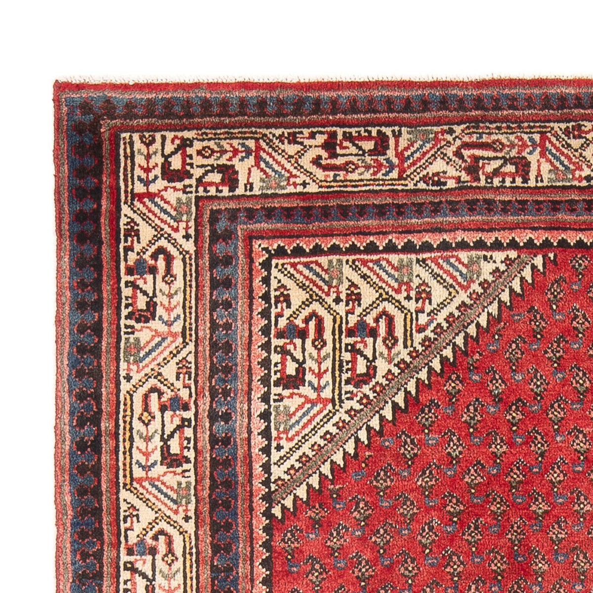 Tappeto Persero - Nomade - Reale - 210 x 130 cm - rosso