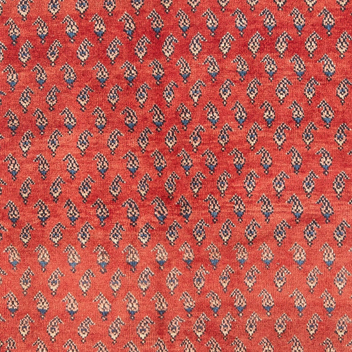 Tappeto Persero - Nomade - Reale - 211 x 134 cm - rosso
