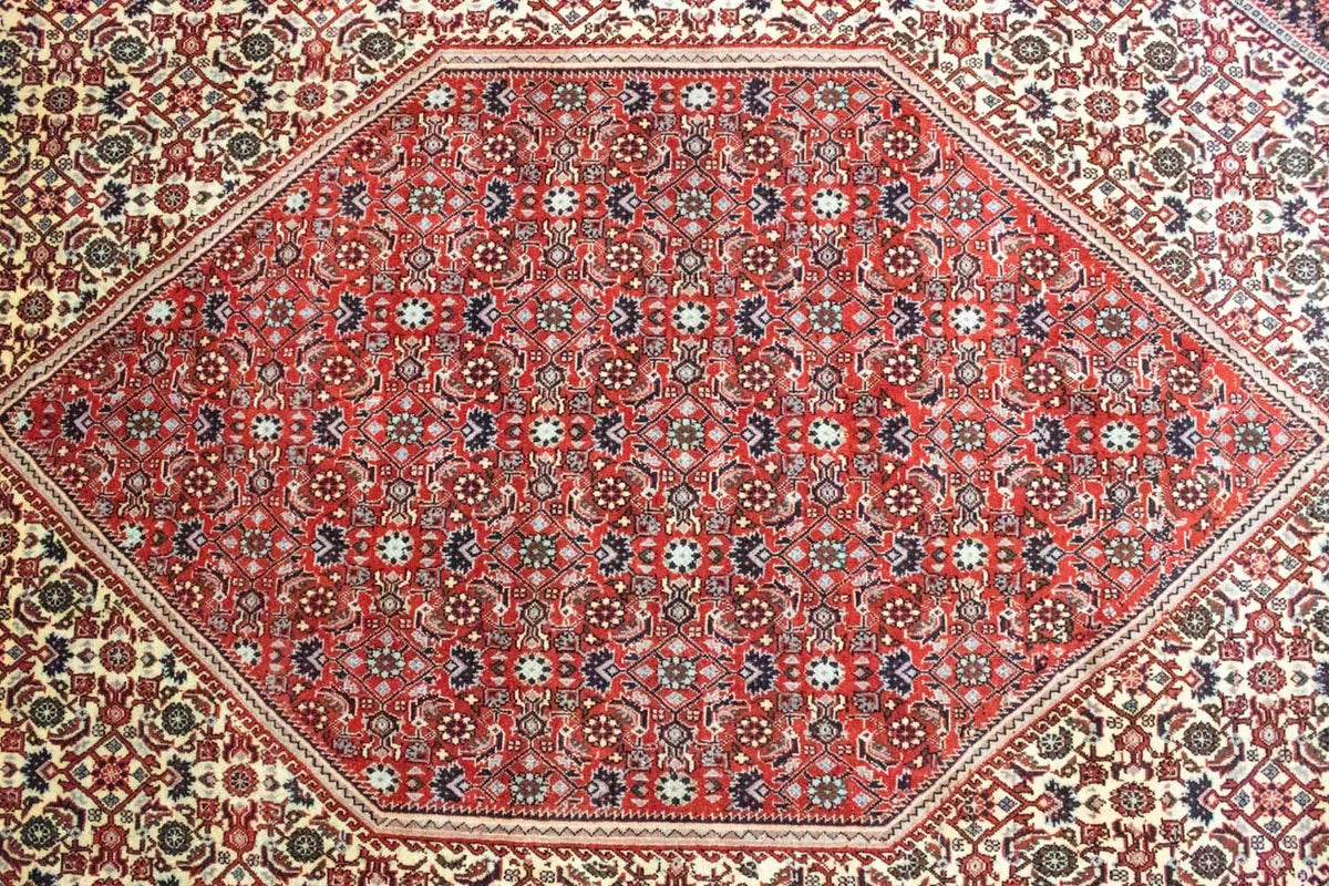 Tappeto Persero - Bidjar - 302 x 203 cm - rosso