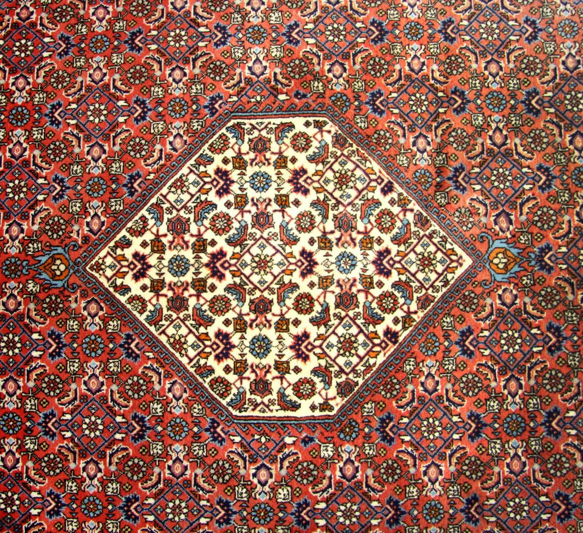 Tappeto Persero - Bidjar quadrato  - 260 x 247 cm - marrone