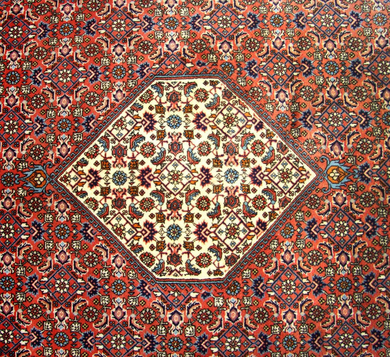 Tappeto Persero - Bidjar quadrato  - 260 x 247 cm - marrone