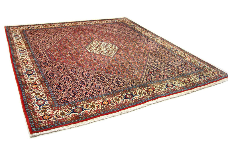Tappeto Persero - Bidjar quadrato  - 260 x 247 cm - marrone