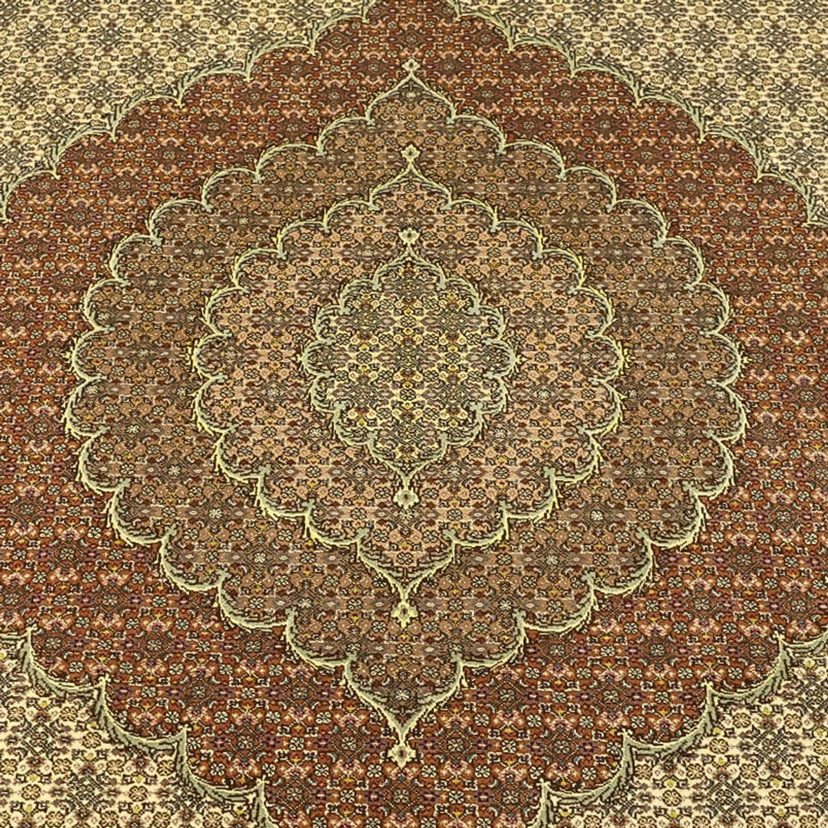 Tappeto Persero - Tabriz - Reale - Reale - 351 x 250 cm - beige scuro