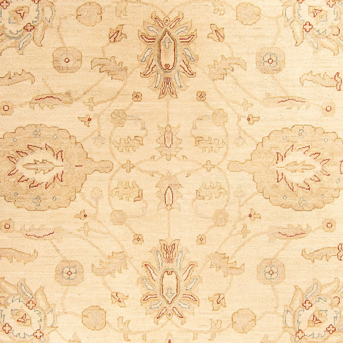Tappeto Ziegler - 307 x 212 cm - beige
