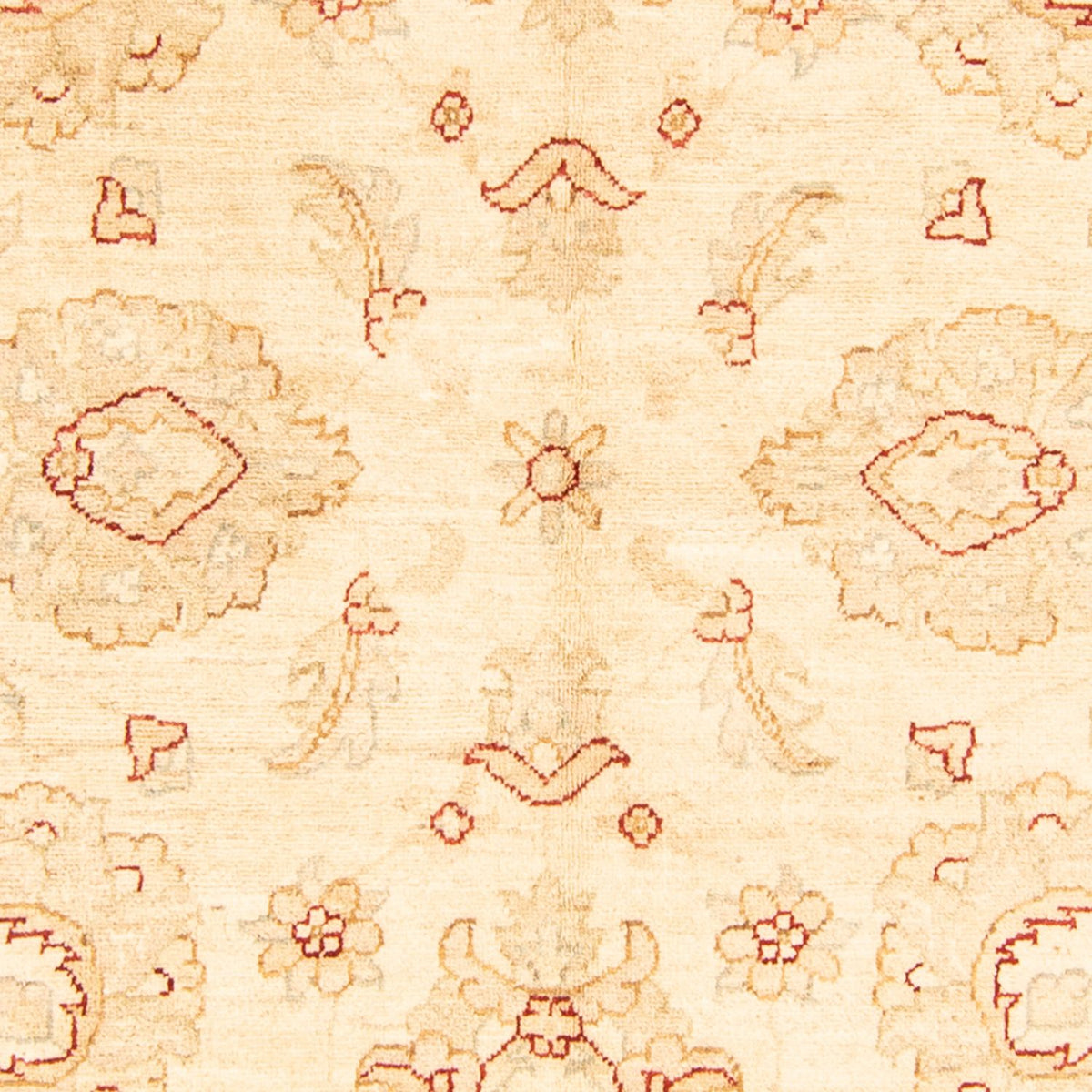 Tappeto Ziegler - 207 x 156 cm - beige