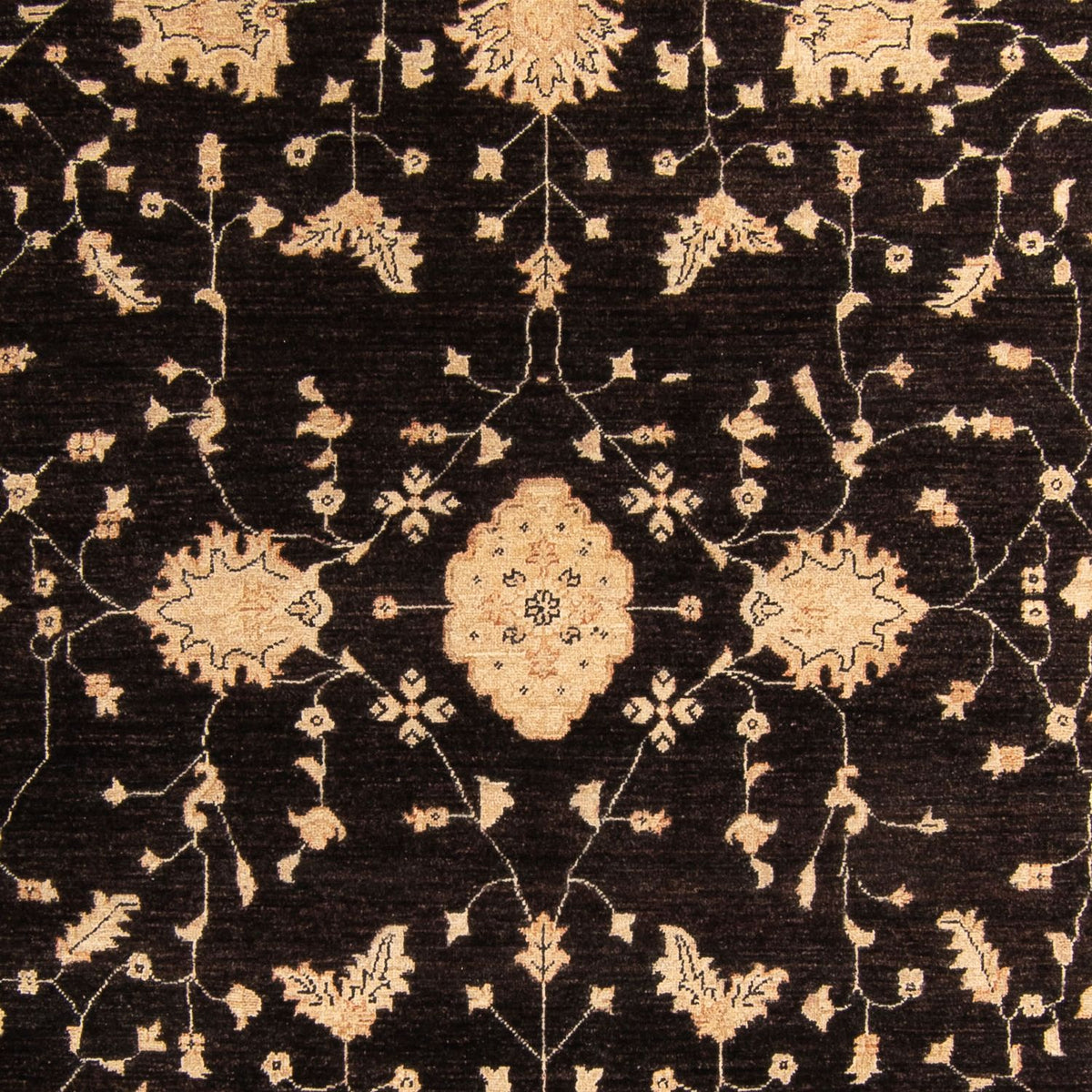 Tappeto Ziegler - 296 x 209 cm - marrone scuro