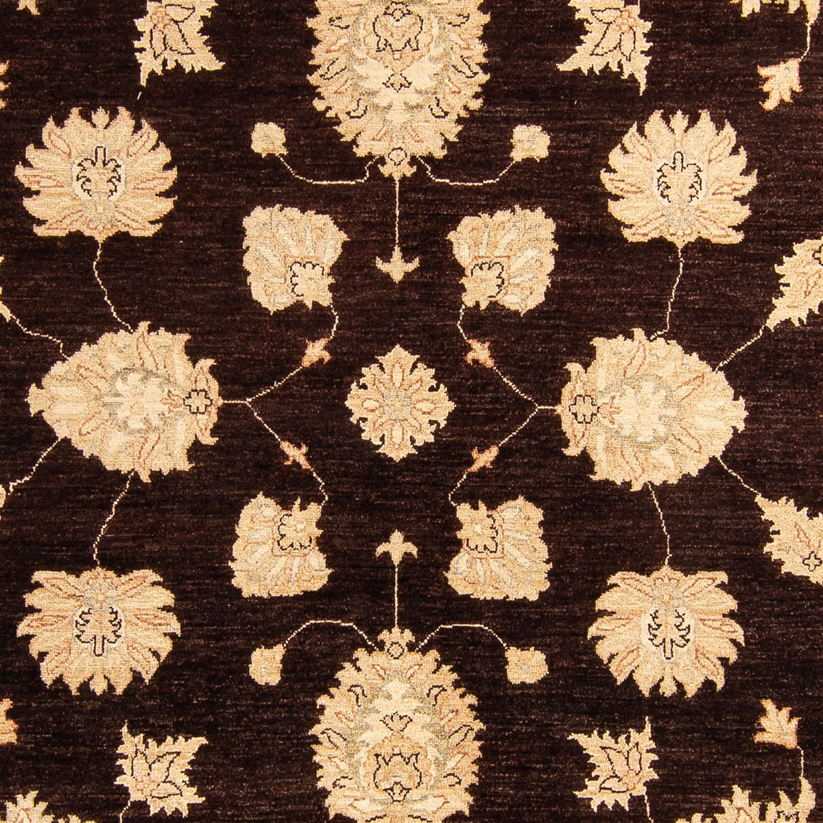 Tappeto Ziegler - 288 x 207 cm - marrone scuro